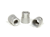 10-24 x Grip 1 Diamond Knurl Swaging Series 18-8 Stainless Steel Rivet Nut